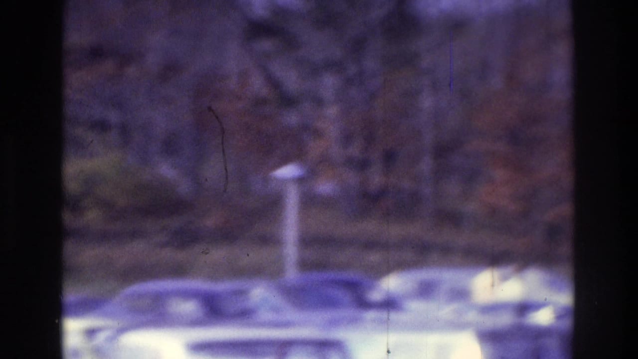 Soft-focus 1975 Atlanta 8mm frame showing parked cars beyond dark vertical window bars and trees.