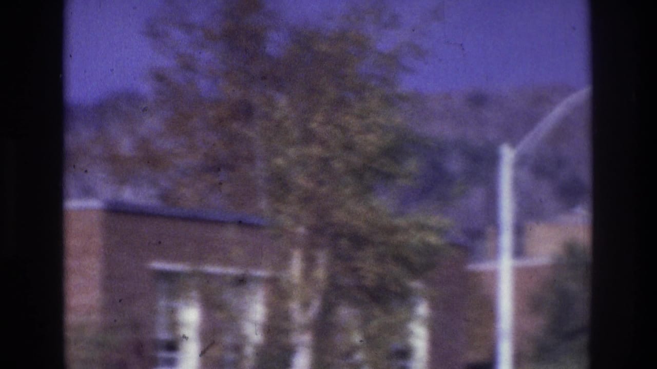 Brick building seen beyond a tree, with a street lamp and dark center obstruction.