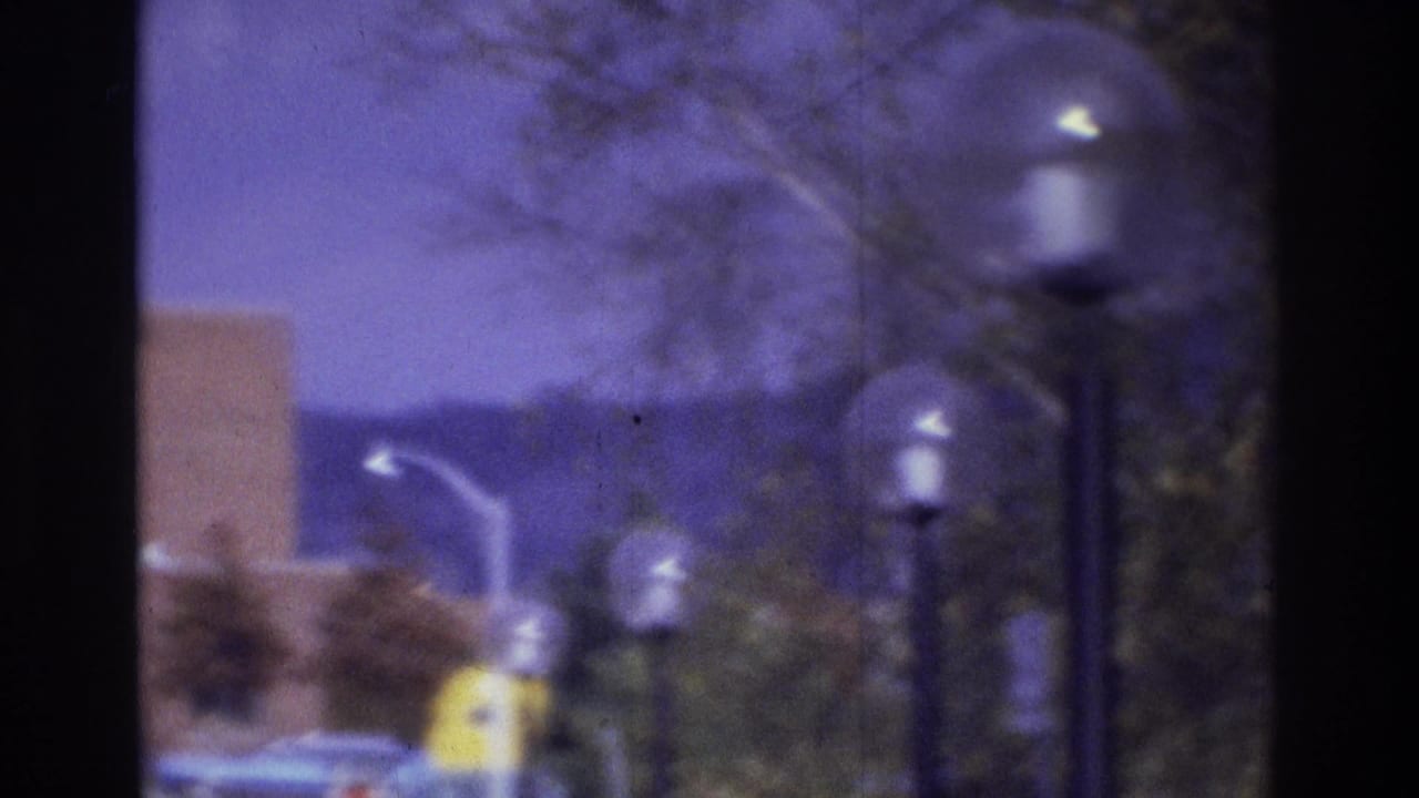 Blurred streetlamps with round globes, brick building edges, trees, hills, and purple sky viewed through vertical bars.