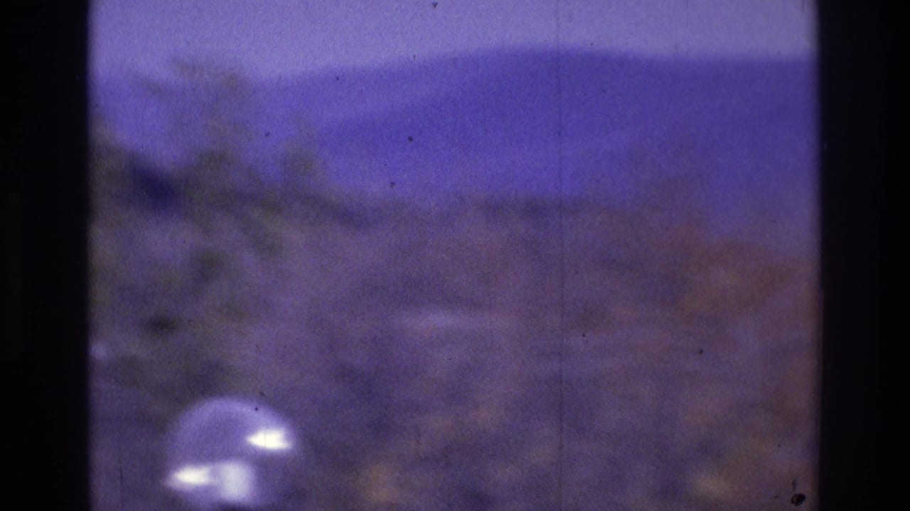 1975 Atlanta-area 8mm frame showing a soft, purple-tinted wooded hillside with indistinct trees and bright circular optical artifacts.
