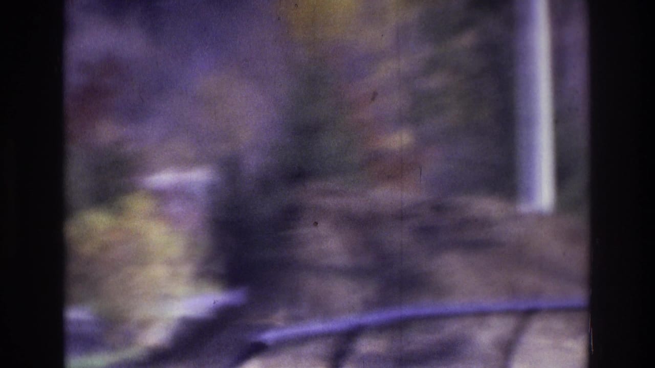 Soft outdoor view with a dark central frame, trees, rocky ground, and a partial car shape.
