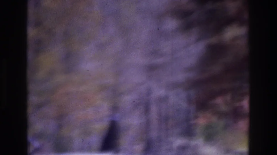 Soft 1975 Atlanta 8mm frame looking through dark vertical framing toward a wooded outdoor area with purple-green color cast.