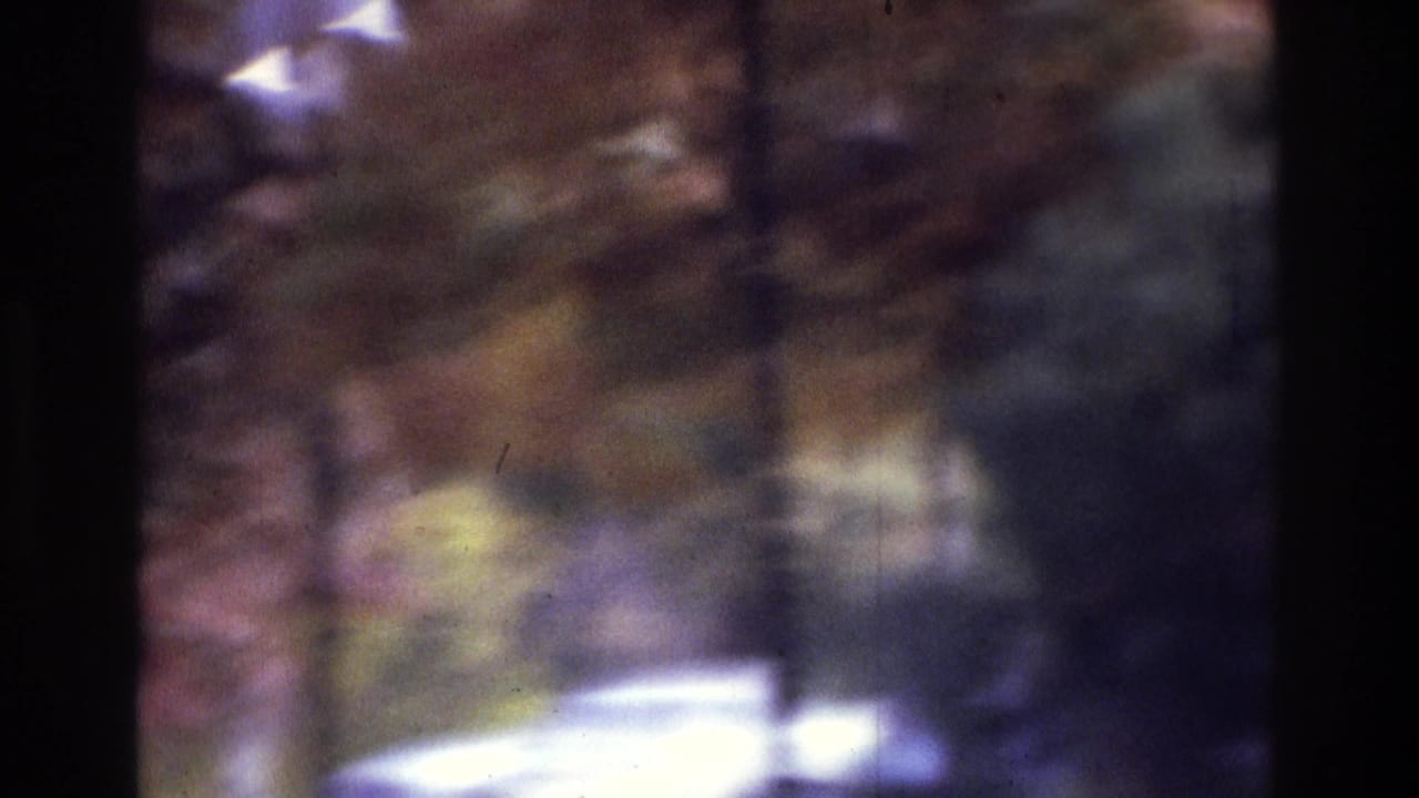 Grainy 1975 Atlanta home-movie frame showing a wooded lawn area through dark framing, with a bright indistinct foreground shape.
