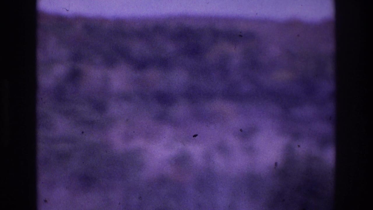 Out-of-focus purple outdoor landscape with dark vertical border and grain.