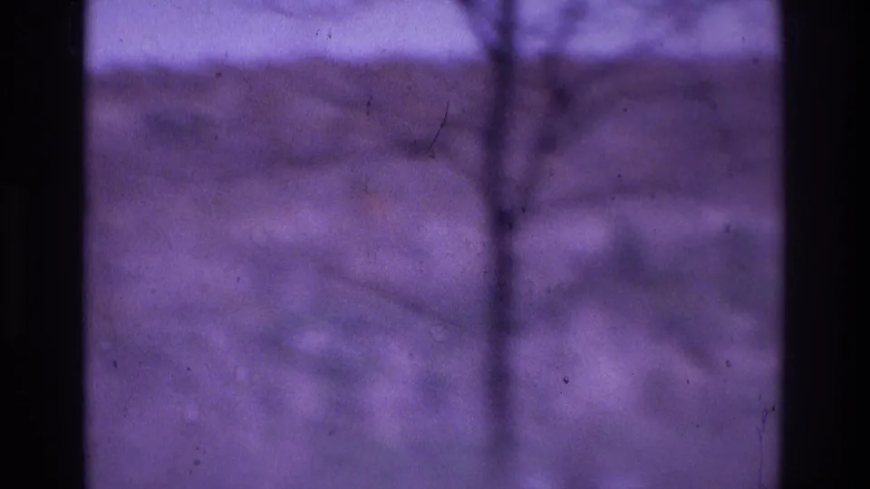 Soft-focus 1975 Atlanta home-movie frame with a dark tree or shrub form against a purple-toned yard background.