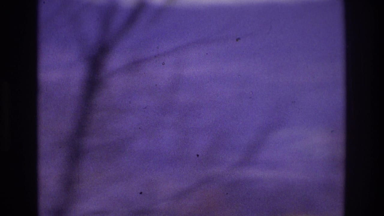 Purple-tinted foggy hills seen behind dark vertical framing and faint tree silhouettes.