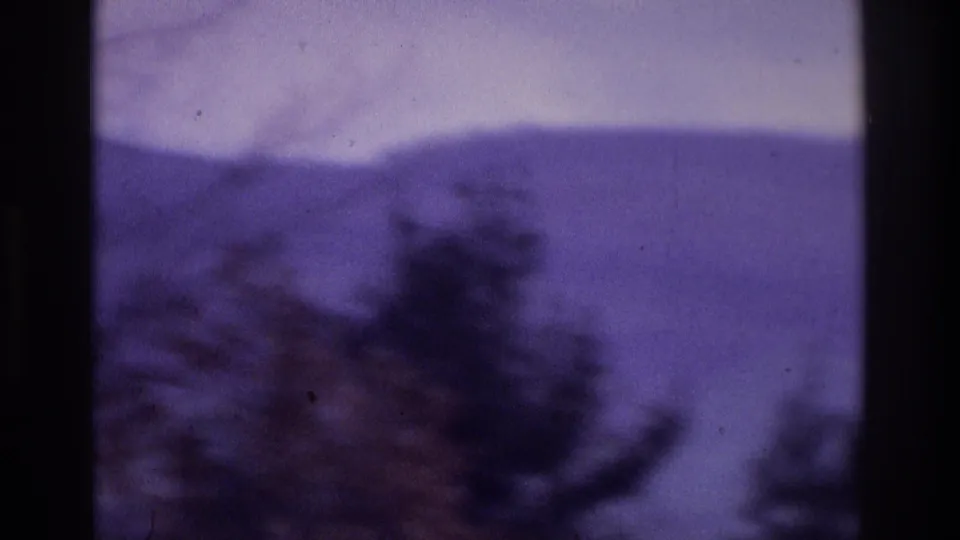 Archival 8mm landscape frame with a fog-softened hillside, dark tree shapes in the foreground, and a purple shifted sky.