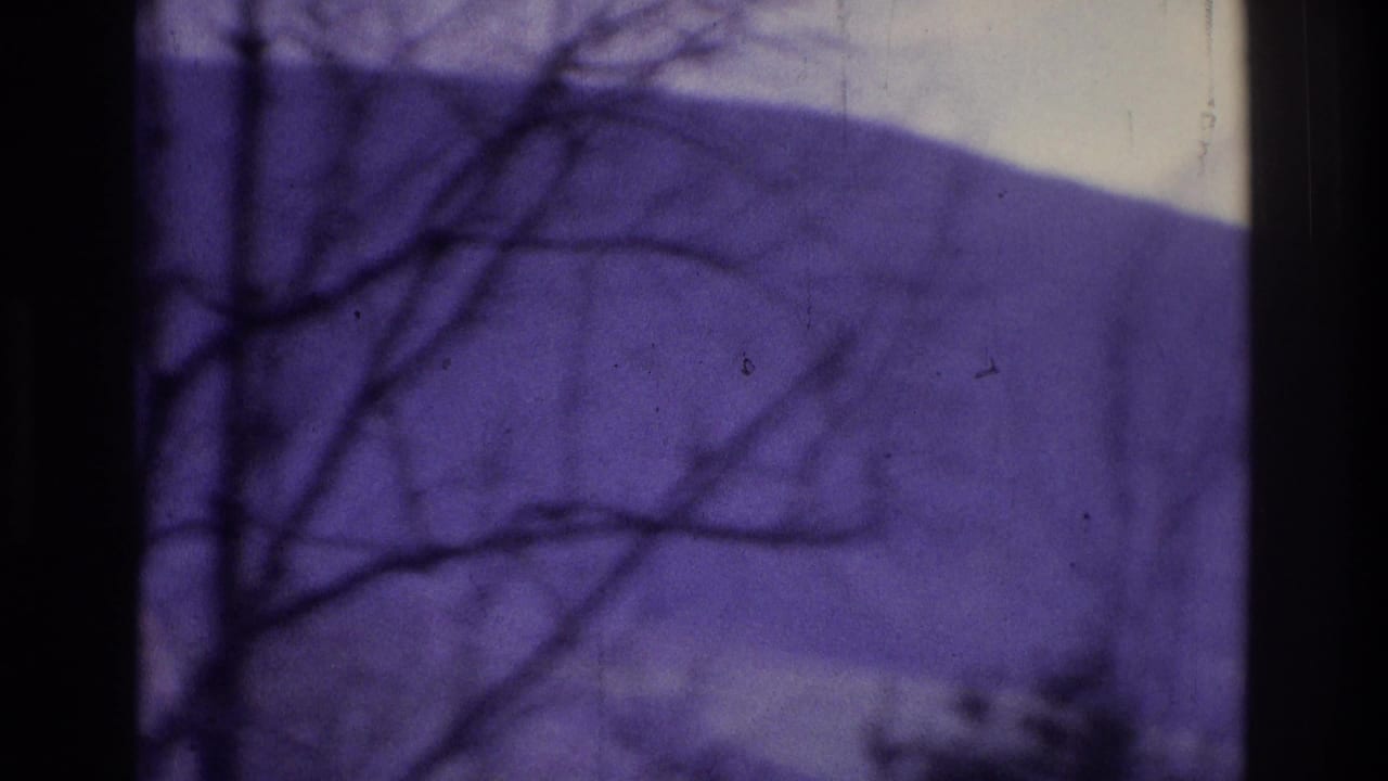 1975 8mm home-movie frame from the Atlanta, Georgia metadata showing bare tree branches, a hazy purple sky, and a distant wooded hill.