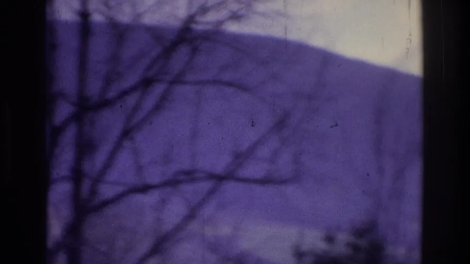 1975 8mm home-movie frame from the Atlanta, Georgia metadata showing bare tree branches, a hazy purple sky, and a distant wooded hill.