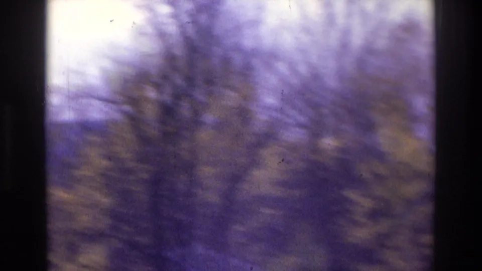 1970s 8mm home-movie view of blurred trees and a purple-tinted wooded hillside, with autumn colors visible in the foliage.