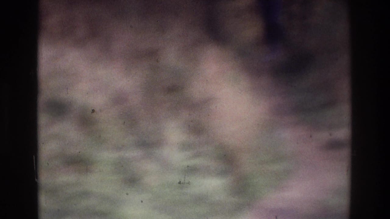 Blurred grassy field with a distant figure near the right side.
