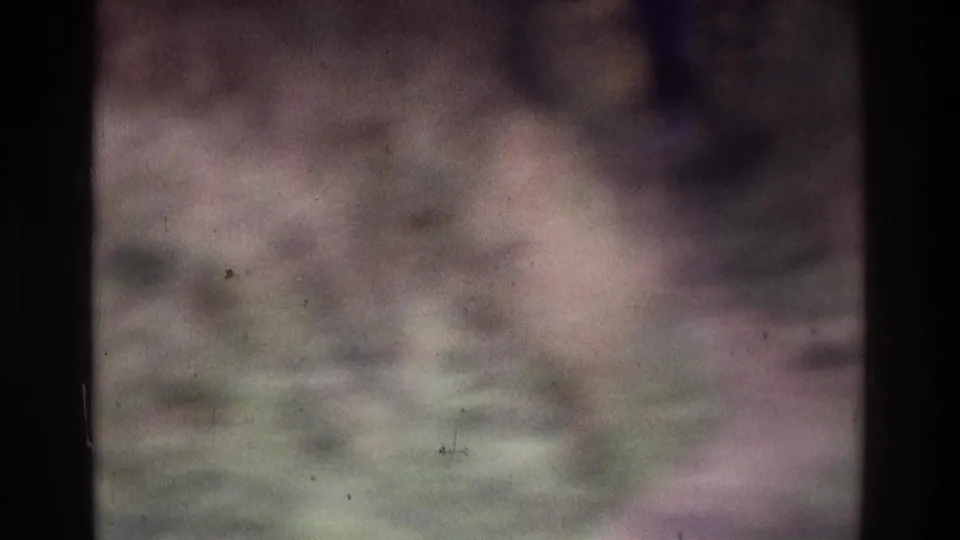 Soft 8mm frame from the Atlanta home-movie clip with a distant figure partly visible amid muted grass and background vegetation.