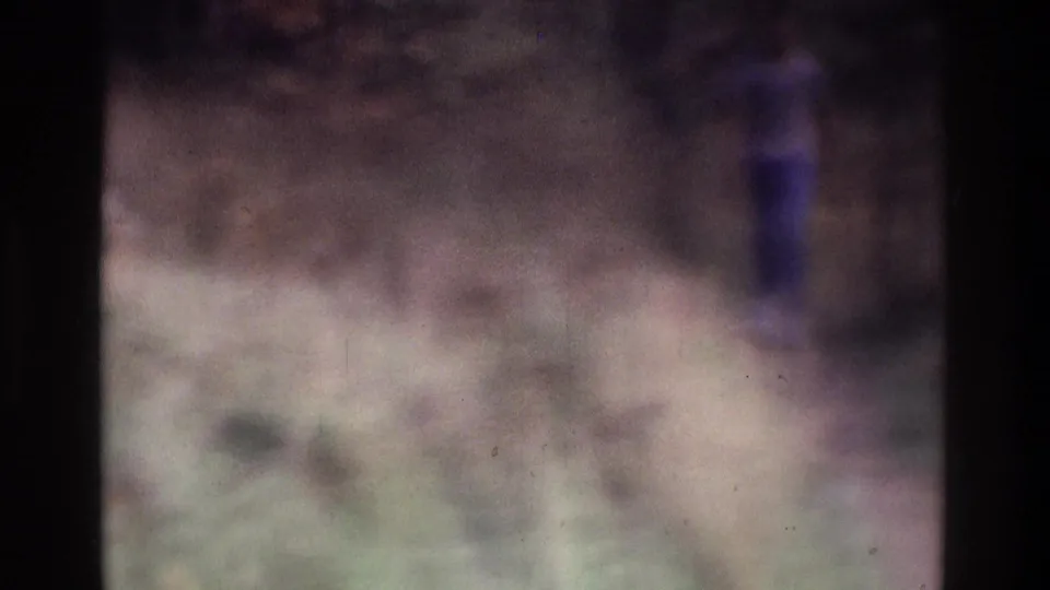 1975 Atlanta 8mm frame with a distant man in blue walking along or near a path through tall grass and soft vegetation.