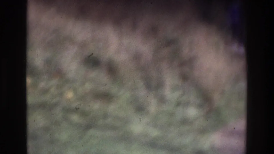 Final soft-focused 8mm frame showing the grassy Atlanta-area setting with a distant figure near the right edge and muted field textures.