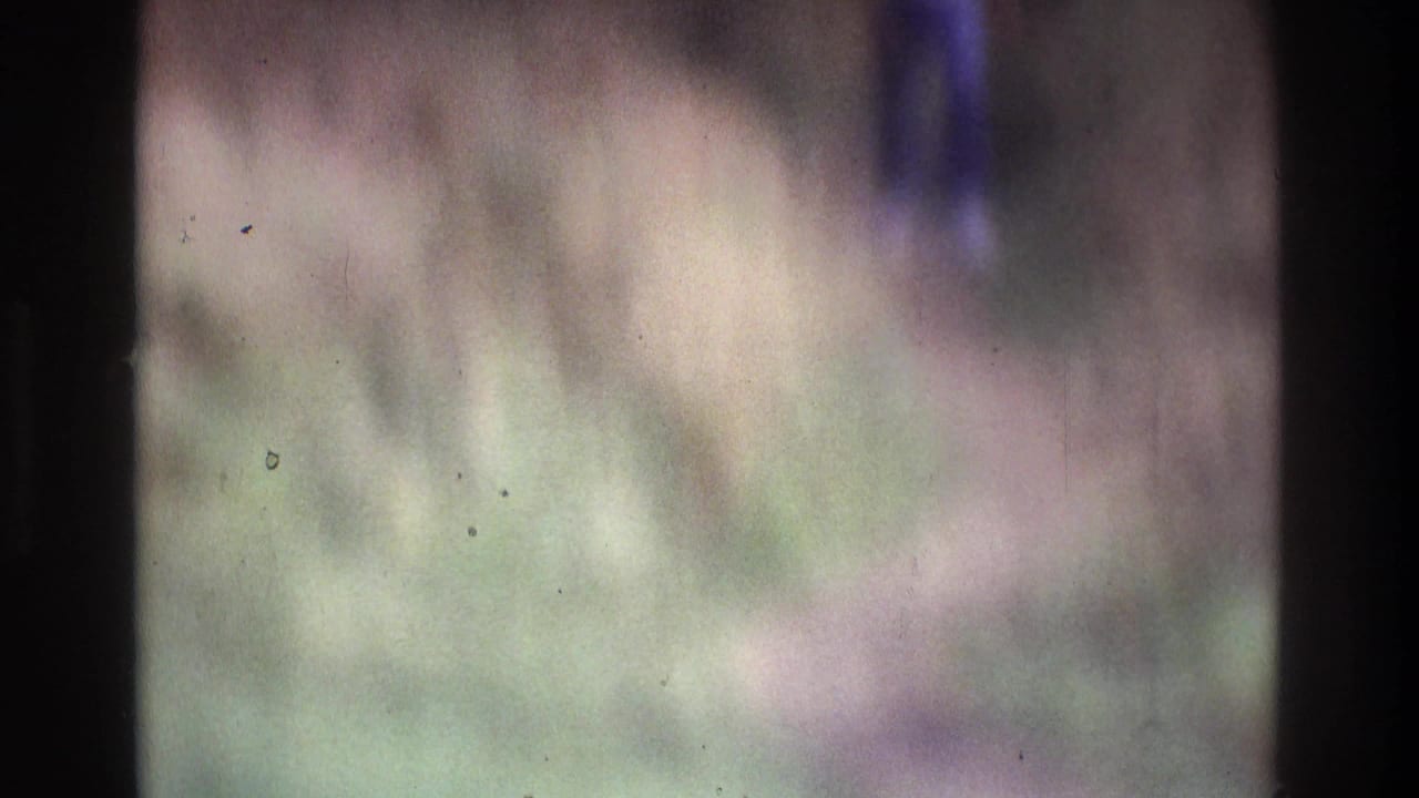 Soft-focus 1975 Atlanta home-movie frame showing a wooded grassy area and a partly visible adult figure on or near a trail.