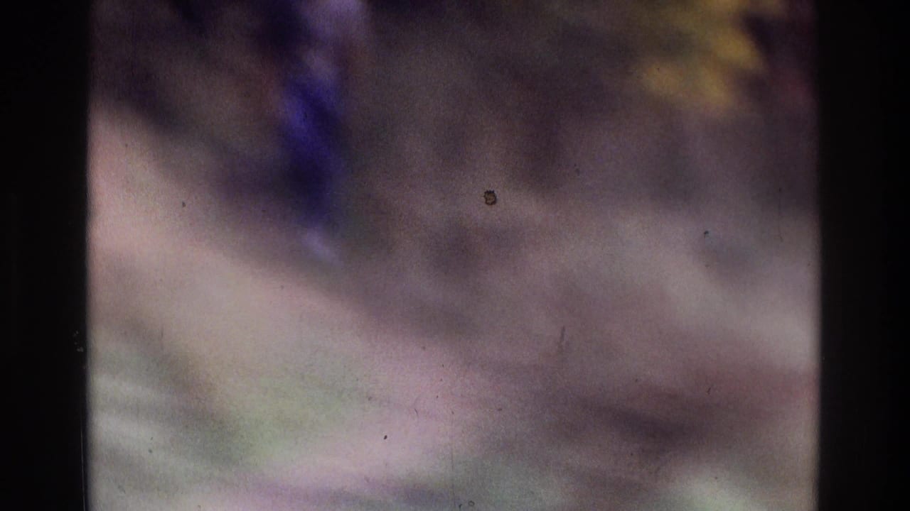 Out-of-focus wooded area with a dark vertical tree trunk and faint trail ground.