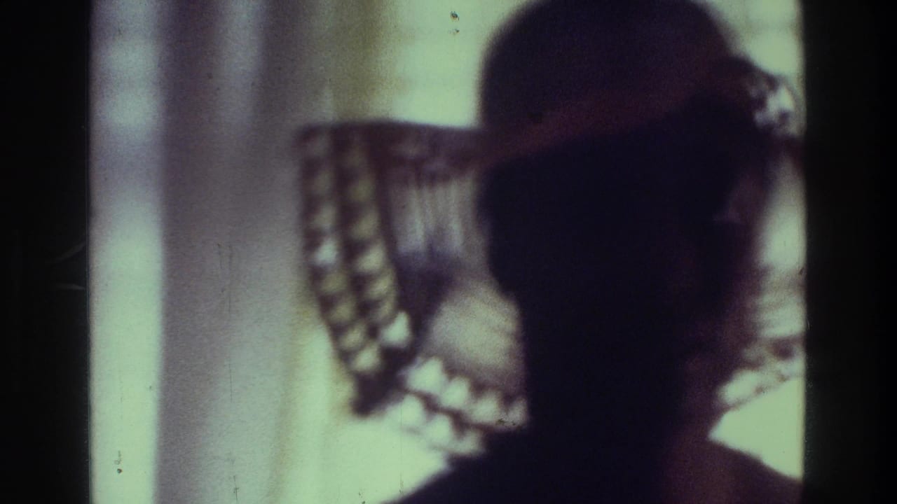 Silhouetted woman wearing a crochet-style hat beside a patterned curtain.