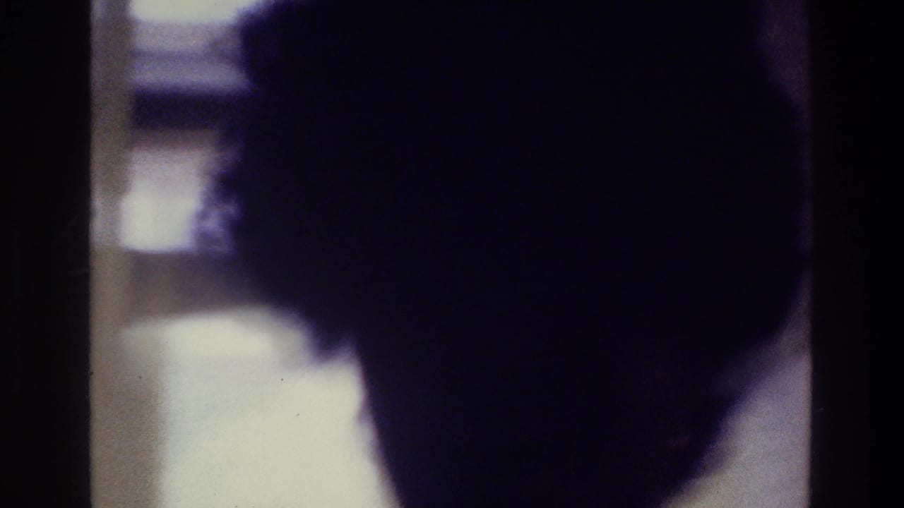 Dark close silhouette of a woman's head near a bright background.
