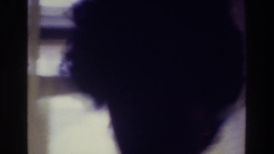 Close 1975 Bronx interior frame with a woman's head and hair in deep shadow against a bright background.