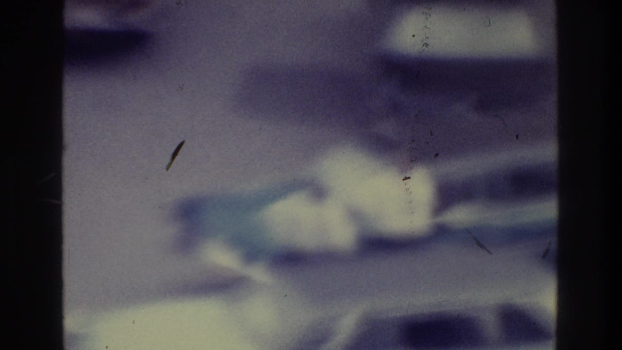 Blurred view of light and dark cars on pavement with visible film marks.