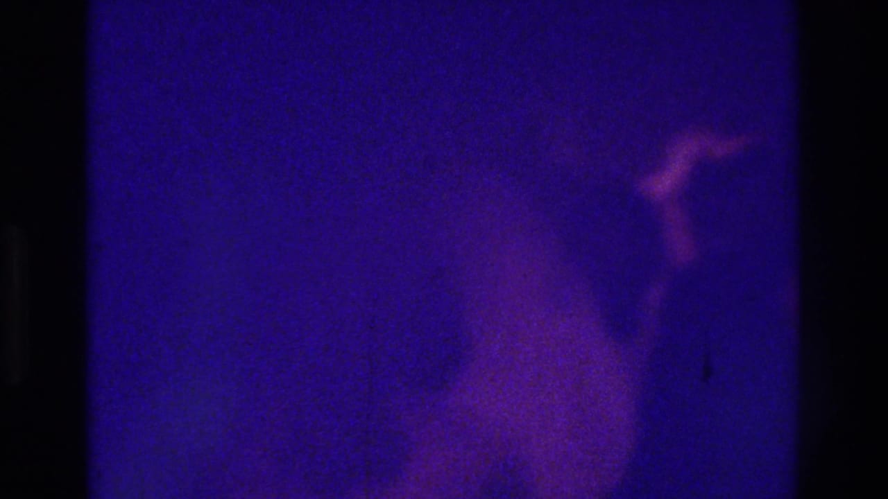 1975 Bronx 8mm frame with indistinct wedding guests and a possible bride moving through a dark purple-lit interior.