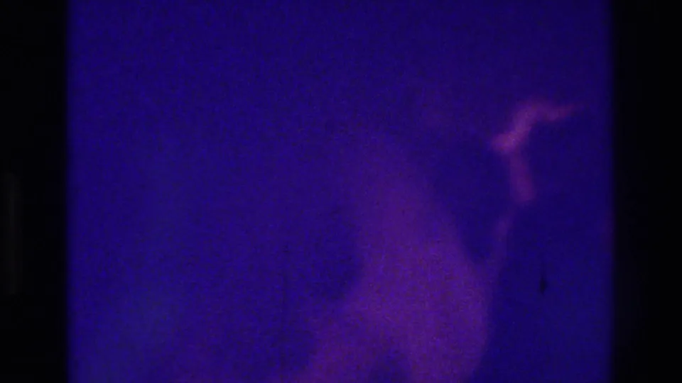 1975 Bronx 8mm frame with indistinct wedding guests and a possible bride moving through a dark purple-lit interior.