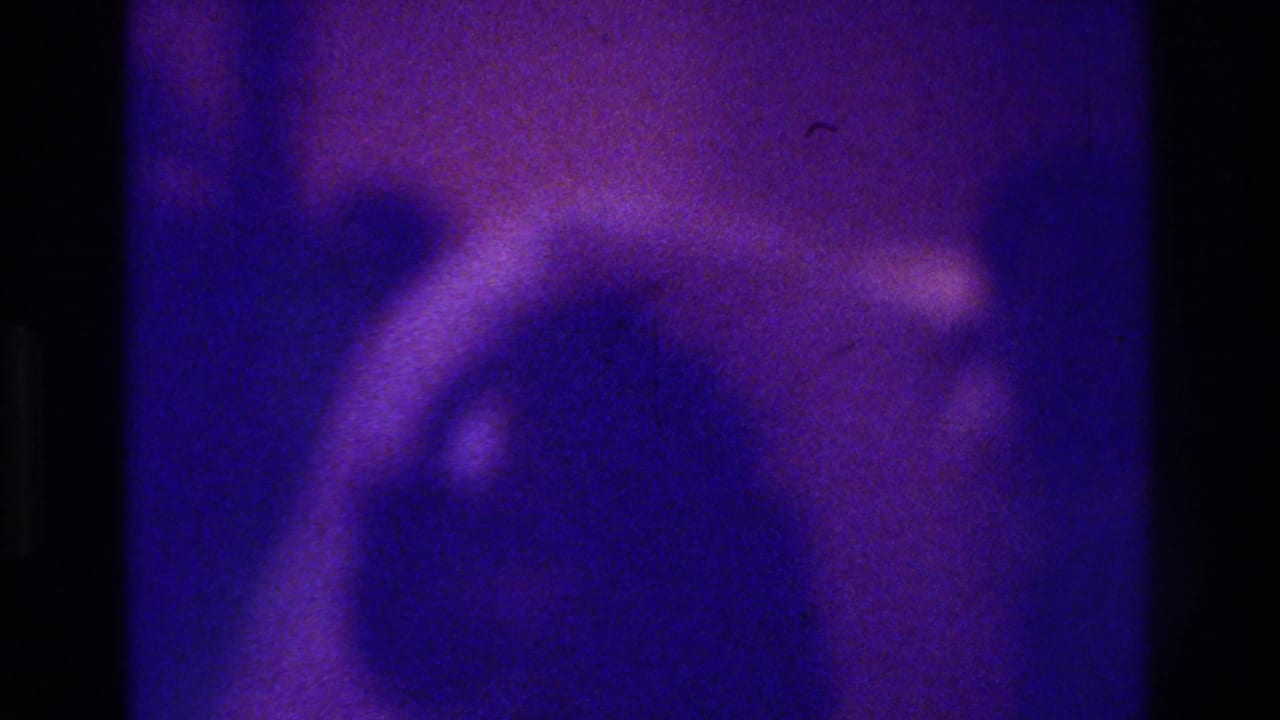 Soft close view of a head and pale veil-like shape in purple light.