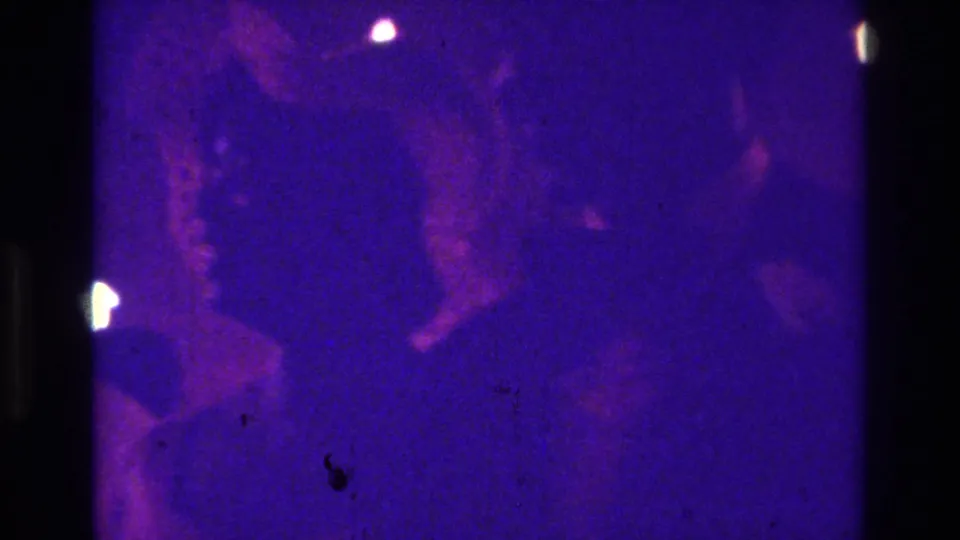 1975 Bronx ceremony frame showing a dim crowd scene, purple cast, dark foreground figures, grain, and small dust or film specks.