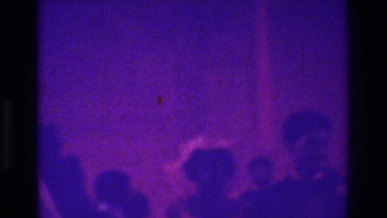 Crowd of wedding guests in soft focus with dark film borders and purple light.