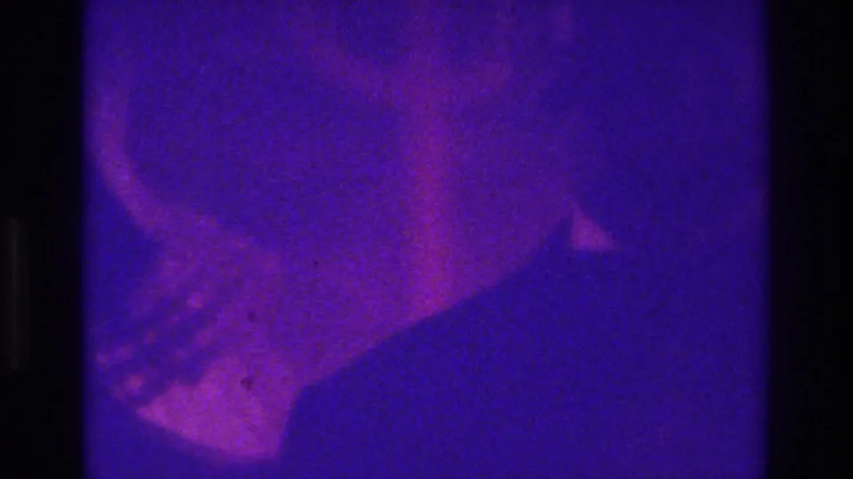 Final 1975 Bronx wedding frame with a dark foreground silhouette, blurred guests, and heavy purple 8mm color shift.