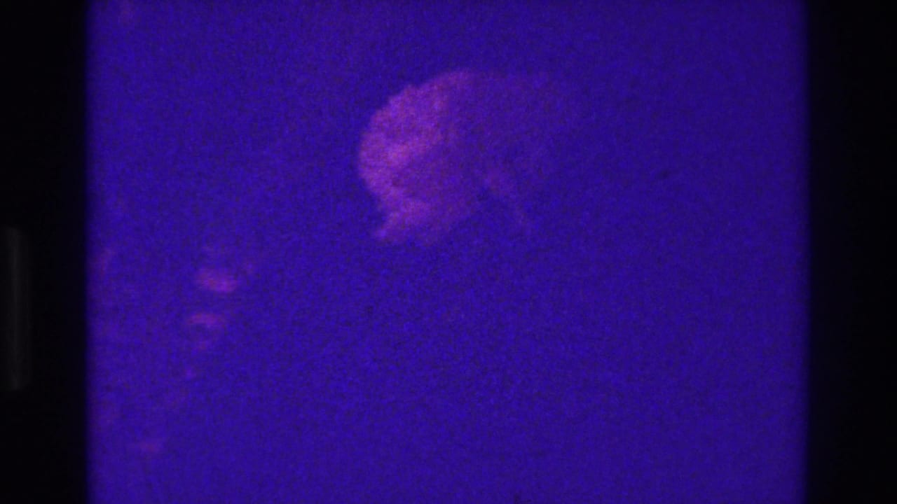 Two indistinct people in formal attire appear in purple-tinted 1975 Bronx 8mm footage with strong grain and soft focus.