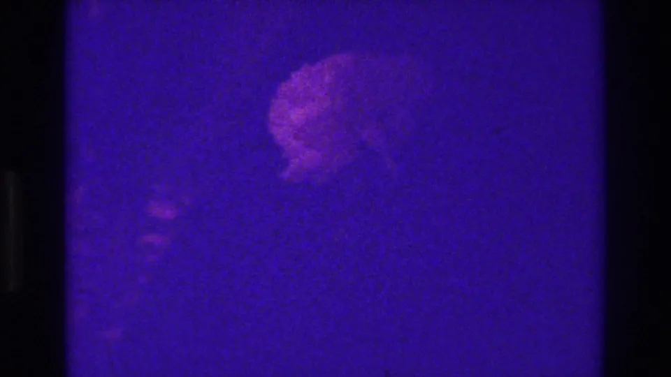 Two indistinct people in formal attire appear in purple-tinted 1975 Bronx 8mm footage with strong grain and soft focus.