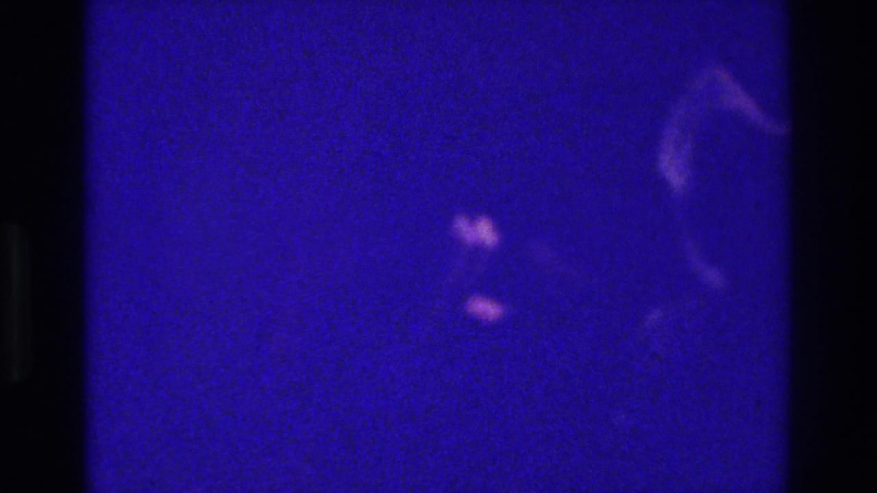 Blurred dark form against purple-blue light with two bright spots near the top.