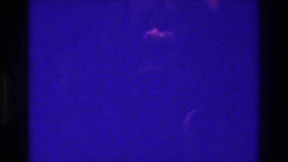 1975 Bronx 8mm frame with a black vertical band dividing purple-blue exposure, faint pink highlights, scratches, and grain.