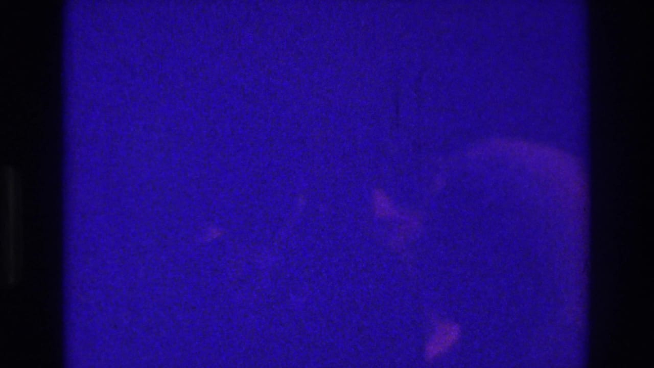 Blue-purple low-light frame with dark vertical bars and faint reflected highlights.