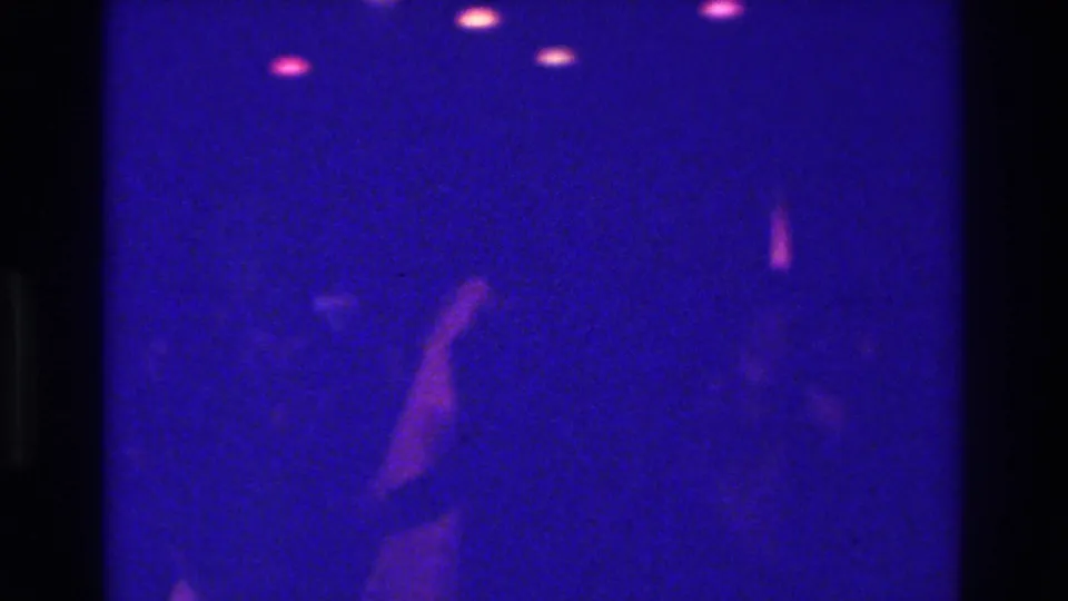 1975 Bronx pub interior with blue-magenta light, small bright reflections, and an indistinct person or shadow near the lower right.