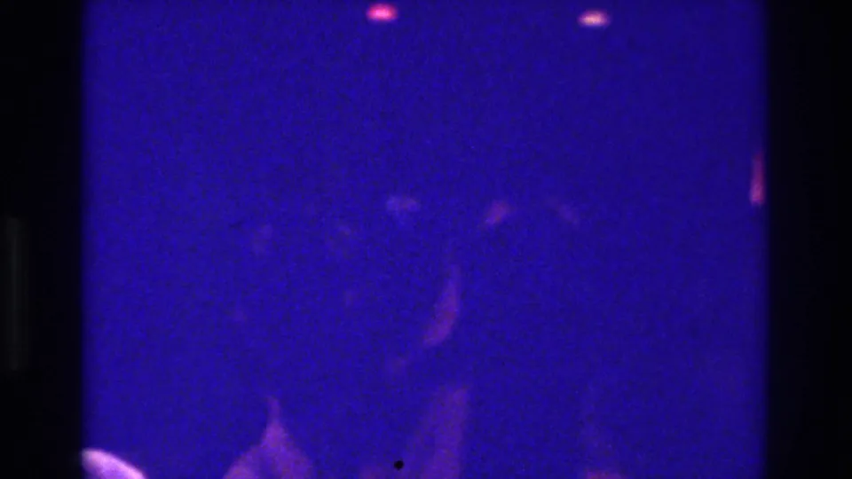 1975 Bronx 8mm frame showing barely visible people dancing in a dark room under purple-blue and pink party lighting.