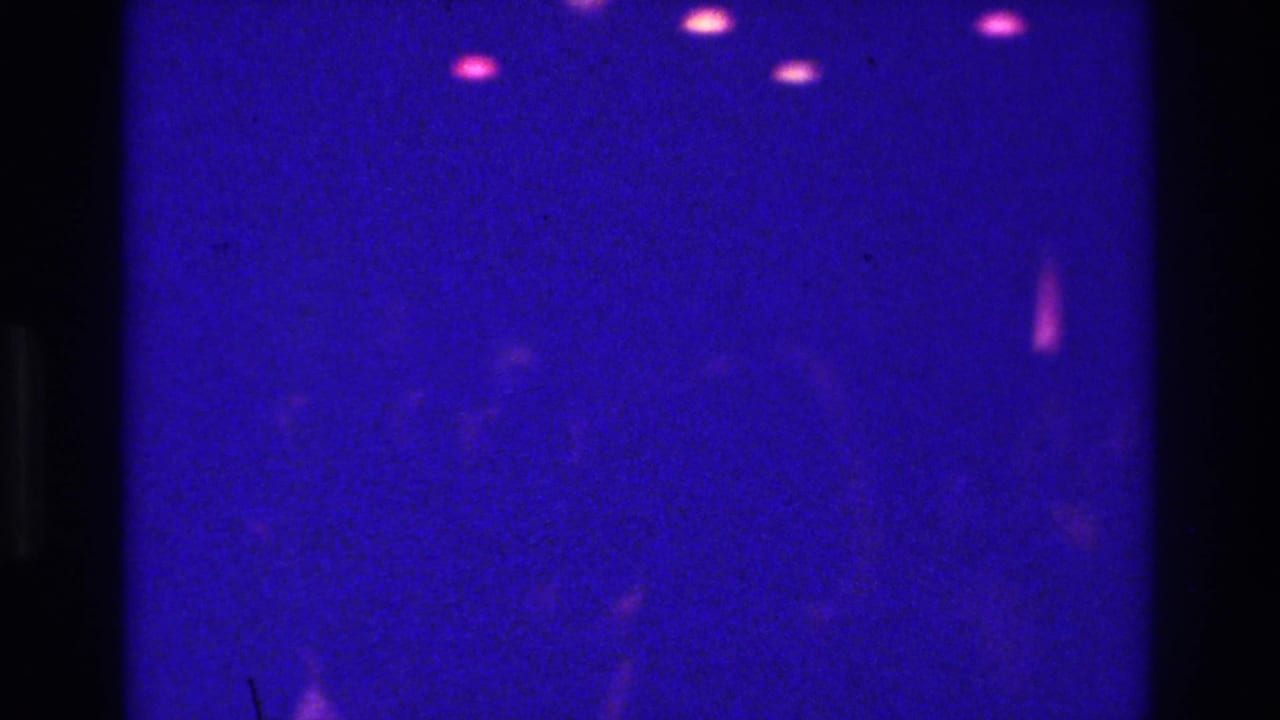 Dark vertical film bar divides a purple-lit room with faint figures and pink lights.