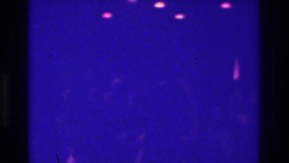 1975 Bronx home-movie frame with silhouetted dancers barely visible behind purple light, pink fixtures, and a dark scan border.