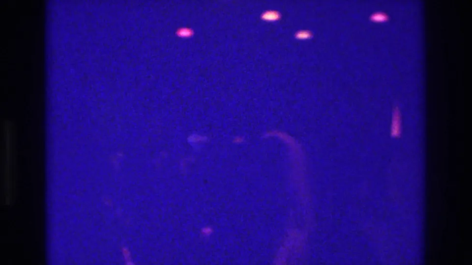 1975 Bronx club footage showing soft silhouettes under purple-blue light and small magenta ceiling lights.