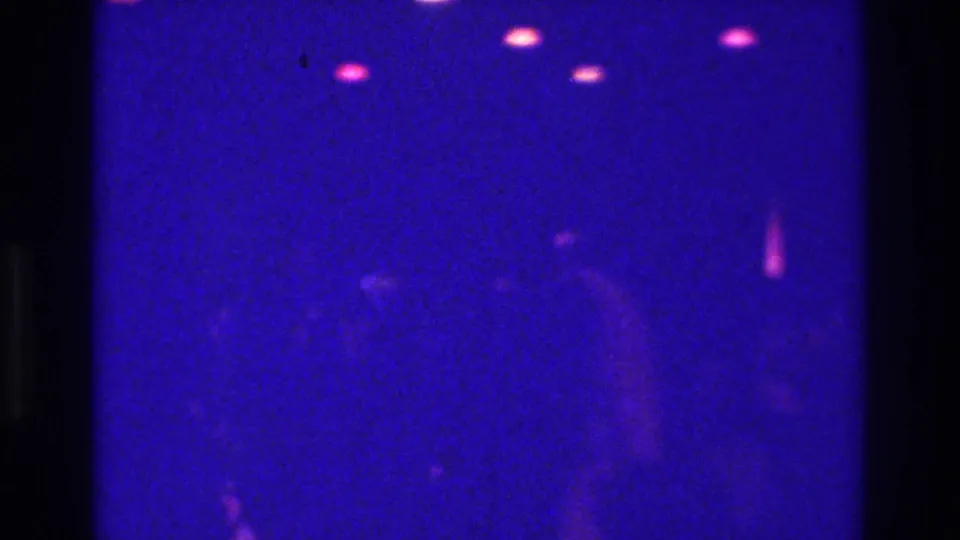 Low-light Bronx club frame with indistinct dancers, saturated purple hue, and glowing magenta ceiling spots.