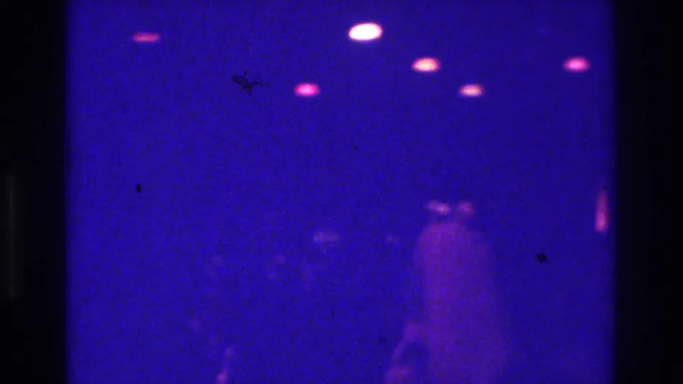 1975 Bronx nightclub home-movie frame with faint silhouettes moving under blue-purple light and bright ceiling flares.