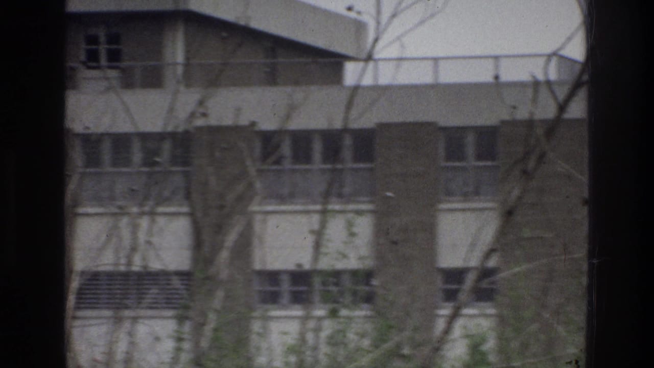1975 Bronx home-movie frame showing a brick-and-concrete building with window rows, seen through bare branches from a moving vehicle.