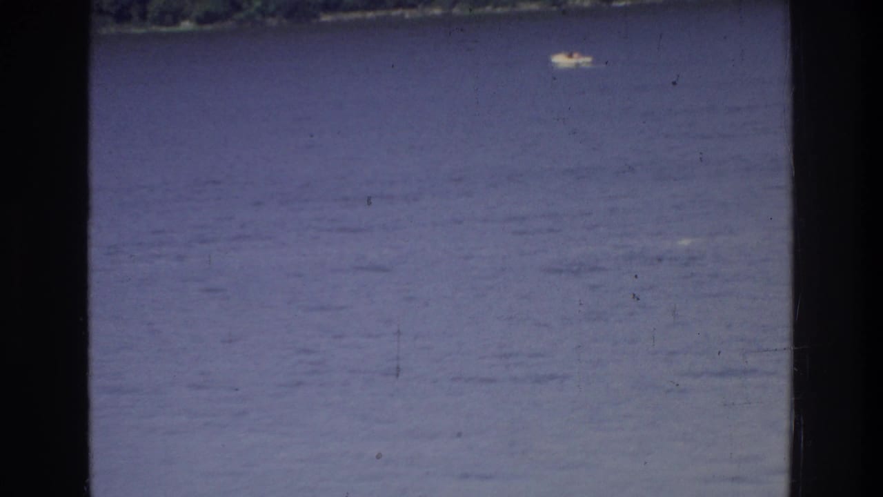 Open body of water with purple-blue aged film tint; small white boat visible far in the distance; wooded shoreline at upper edge of frame.
