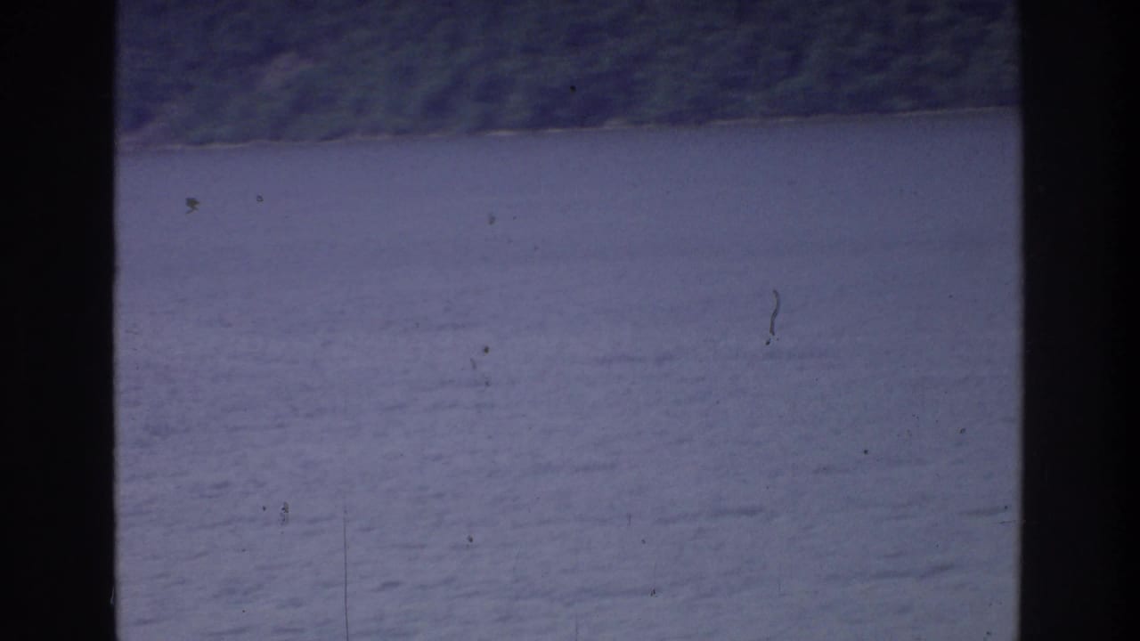 8mm home movie frame from approximately 1975 showing calm water and a steep forested shore, likely along a New York-area waterway, shot from a moving boat.