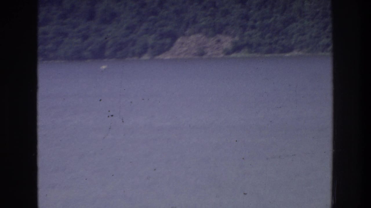 Wide calm water with a rocky, tree-covered shoreline along the upper portion of the frame; film grain and blue-purple color cast prominent.