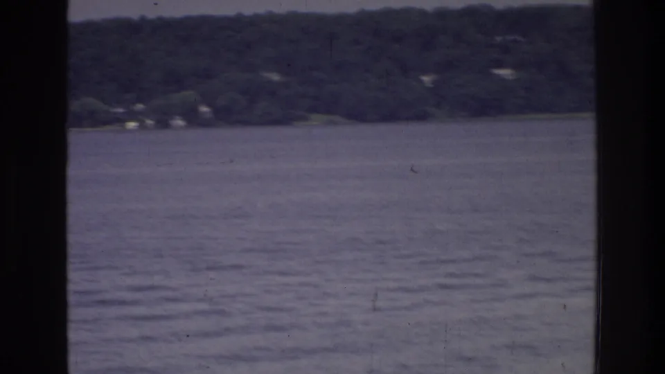 8mm home movie frame circa 1975 showing a residential tree-lined waterfront with scattered houses glimpsed through dense vegetation, possibly near Washington DC.