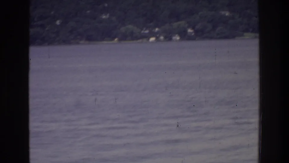 8mm film frame circa 1975 of a wooded residential waterfront with distant structures visible through trees, on a waterway near Washington DC.
