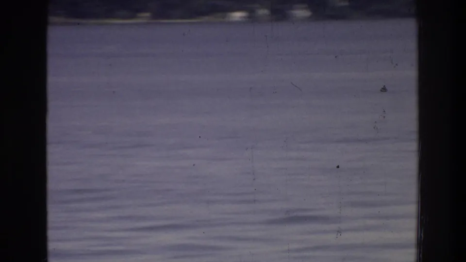 Open river water seen from a moving tour boat, Washington DC area, 1975; pronounced blue-purple film fade and grain dominate the frame.