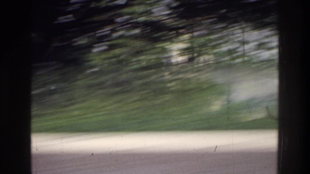 Opening frame of a 1975 8mm home movie, heavily motion-blurred, showing trees and what may be the edge of the Jefferson Memorial grounds, Washington DC.